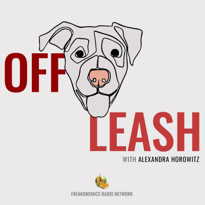 Off Leash, a New Podcast About Dogs and the Humans Who Live with Them, Out Today from ﻿Freakonomics Radio Network