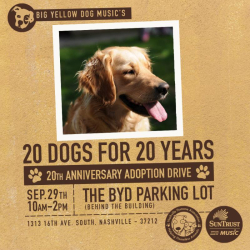 Help Big Yellow Dog Music Celebrate 20 Years By Adopting ﻿A Big Yellow Dog — Or Any Other Kind
