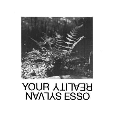 Sylvan Esso Enter Their Next Era on New Single, Your Reality