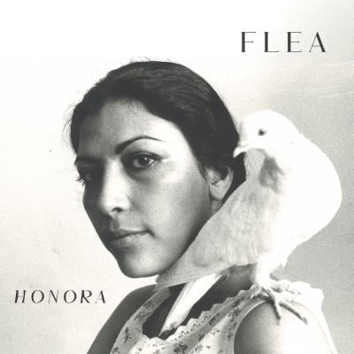 Flea/ ‘Honora’/ Nonesuch