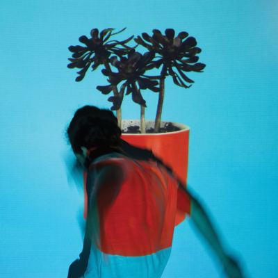 Local Natives/ ‘Sunlit Youth’/ Loma Vista/Infectious Music
