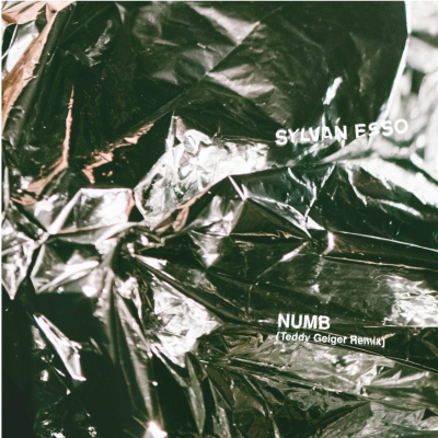 Sylvan Esso Unveils Teddy Geiger Remix of Numb
