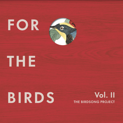 For The Birds: The Birdsong Project Volume II Out Today