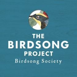 The Birdsong Society Wildlife Advocacy Community Evolves Out Of 242-Track Star-Studded Box Set For The Birds: The Birdsong Project