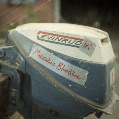 Muscadine Bloodline’s “Evinrudin’ Is The Perfect Weekend Soundtrack