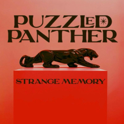 Puzzled Panther Drops Dance-Punk Single “Strange Memory” Produced By Eugene Hütz (Casa Gogol Records)