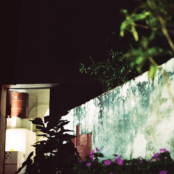 Guitarist Anthony Wilson, a Longtime Member of Diana Krall’s Quartet, Releases House of the Singing Blossoms