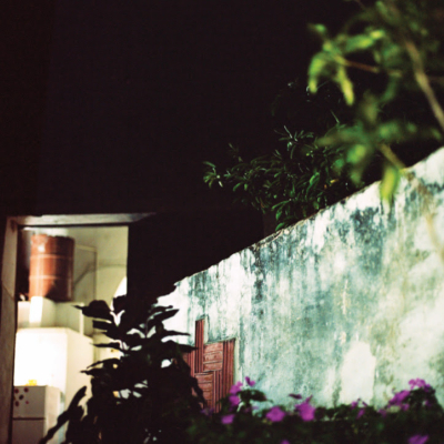 Guitarist Anthony Wilson, a Longtime Member of Diana Krall’s Quartet, Releases House of the Singing Blossoms