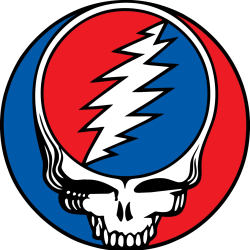 Grateful Dead Set Guinness World Records® Title for Most Top 40 Albums Charted on Billboard 200